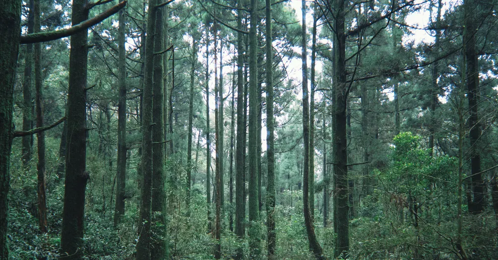 一個地球人的沙龍