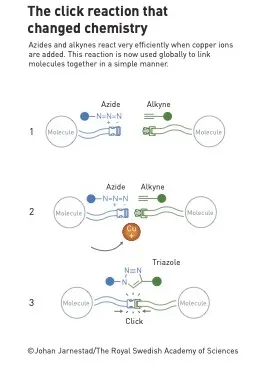 Nobel Prize organization 網站