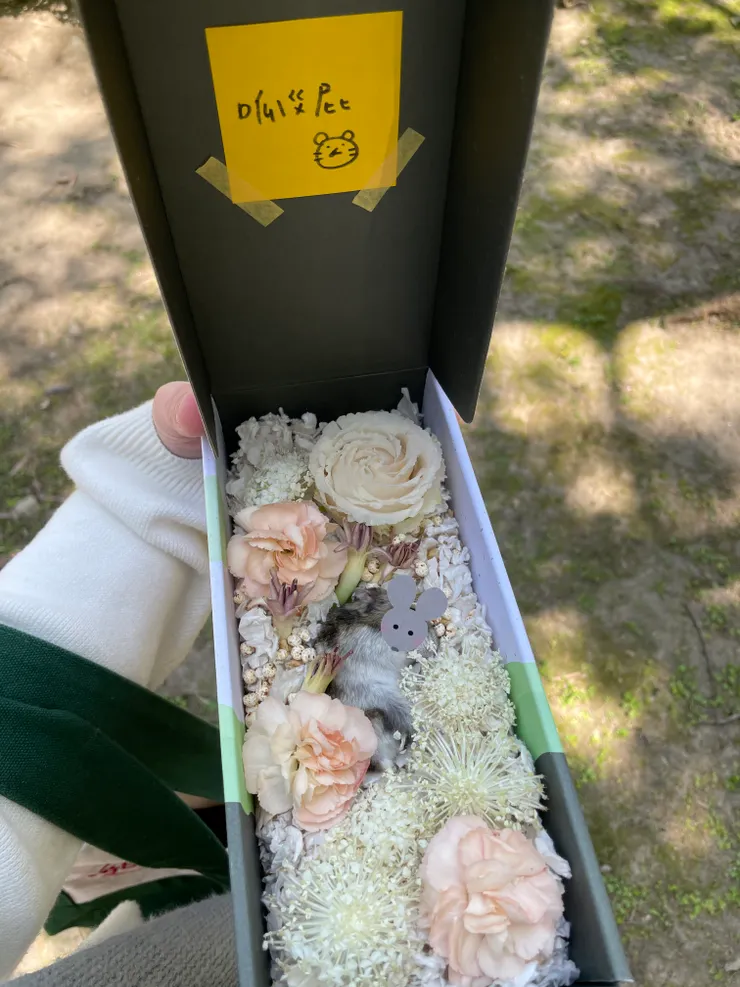 媽咪愛妳喔，希望妳在天上可以當個快樂天使:)