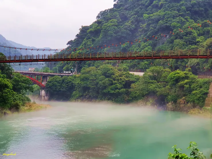 下過雨後的烏來吊橋,河上飄著一層薄薄的煙霧