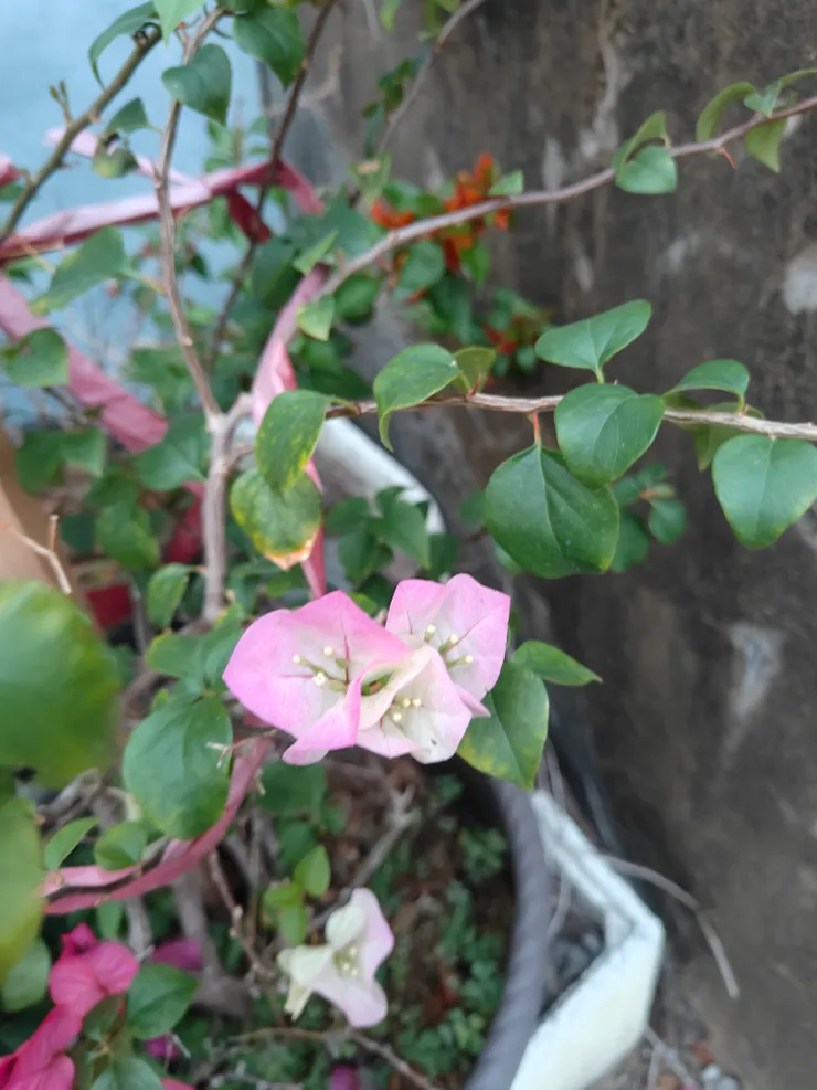 活出自己的色彩！