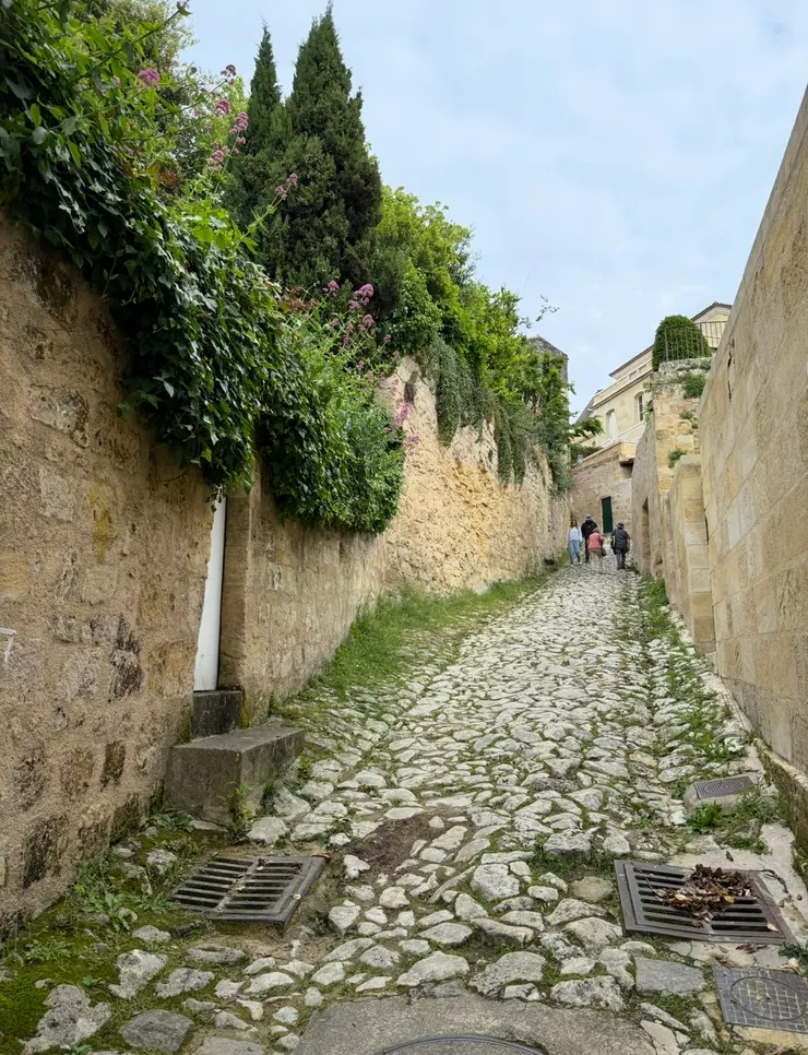 山城𥚃這樣陡峭的小徑,很多,很多