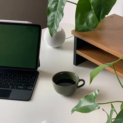 うん輕輕說的沙龍