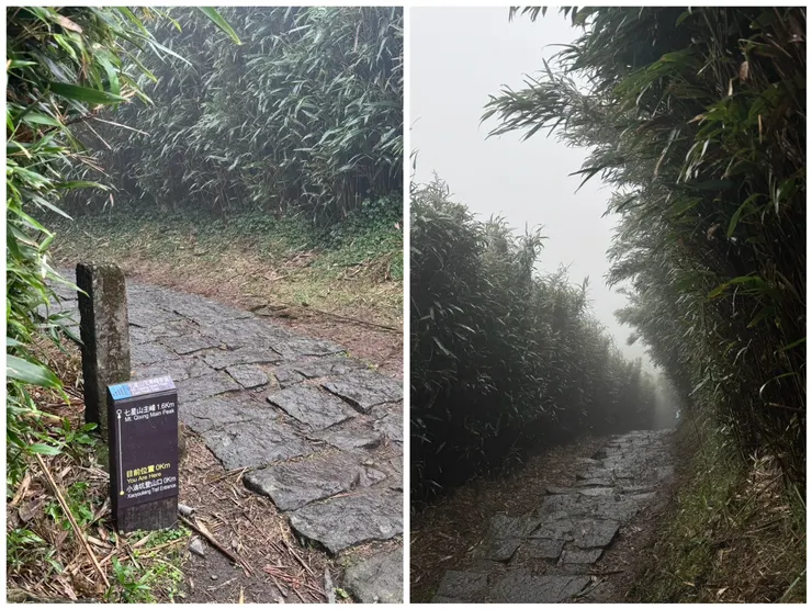 連接冷水坑與擎天崗的冷擎步道，是陽明山最溫柔的緩衝地帶。這條平均海拔七百多公尺的森林路徑，坡度緩慢平順，沿途綠蔭如毯。