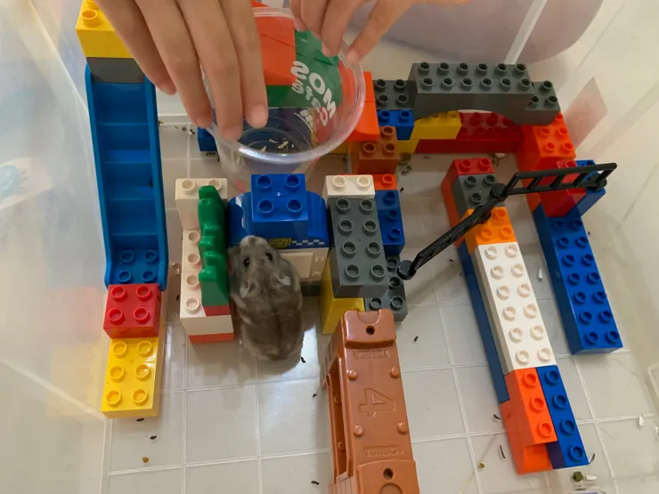 我還想吃葵瓜子。