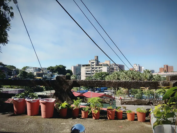 蟾蜍山聚落住戶門前的水泥護欄，取自從前瑠公圳的水渠護欄。連續圖案為「水」字（拍攝日期：2018.12）