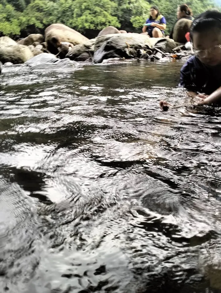 願我們，為你，也為更多的孩子，留下仍能流動的河流，與仍然呼吸的森林。