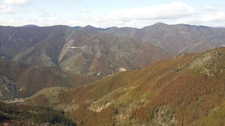 我拍到飛碟了嗎 怎麼一條白白的??