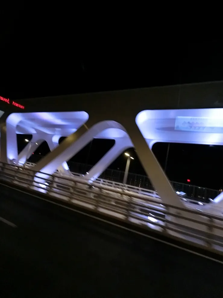 我覺得這道橋有點特別，可惜車子在動拍不清。