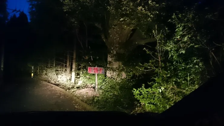 傳聞中的巨頭才畫面