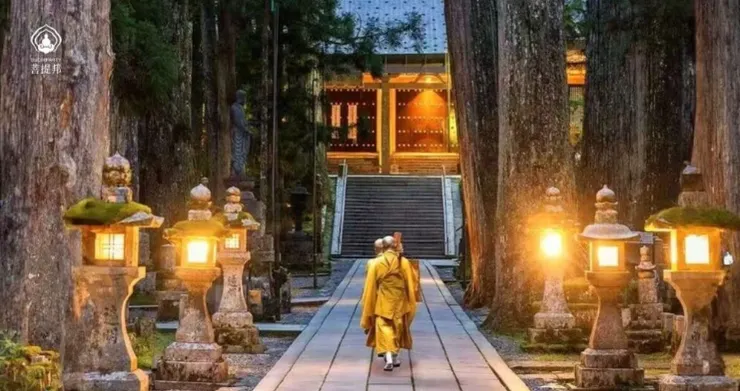 高野山奧之院參道，僧侶沿石燈籠步道靜靜前行