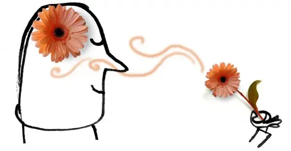 氣味能喚起記憶和引發情緒反應