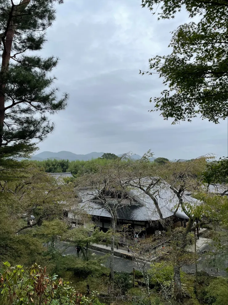 展望台