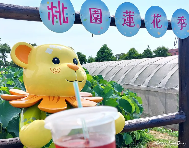 ▲2024桃園蓮花季/圖片來源:Betty's Jump Diary