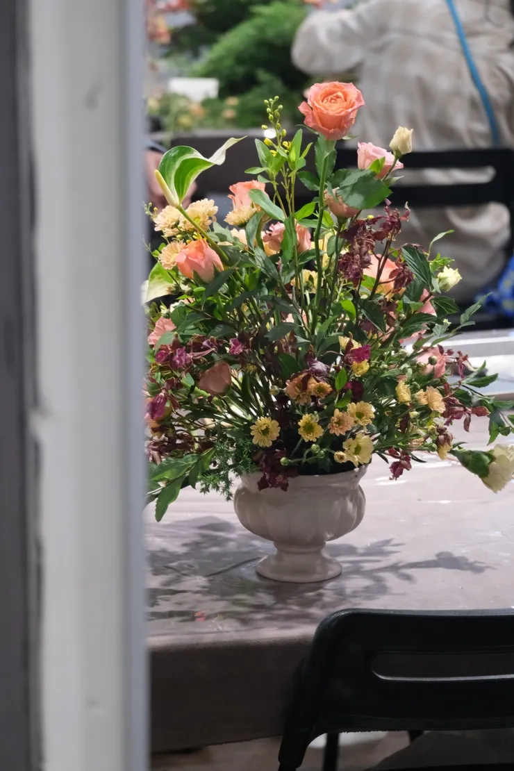 第一次看到深色的文心蘭，覺得也滿美