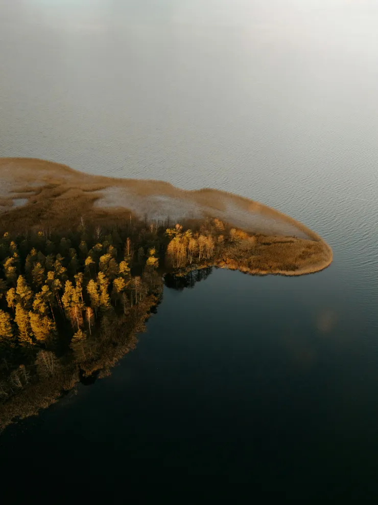 aivars-vilks-iM6hGLIKksQ-unsplash