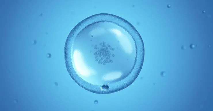 圖片來源：Taipei Fertility center