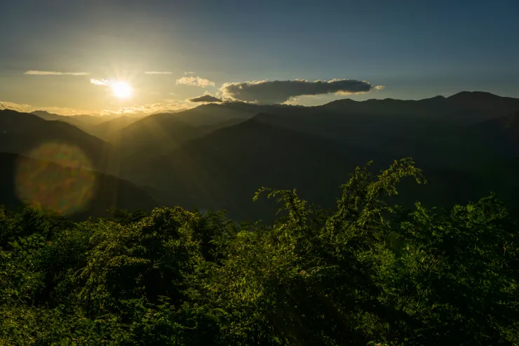 Photo by Da-shika on Unsplash