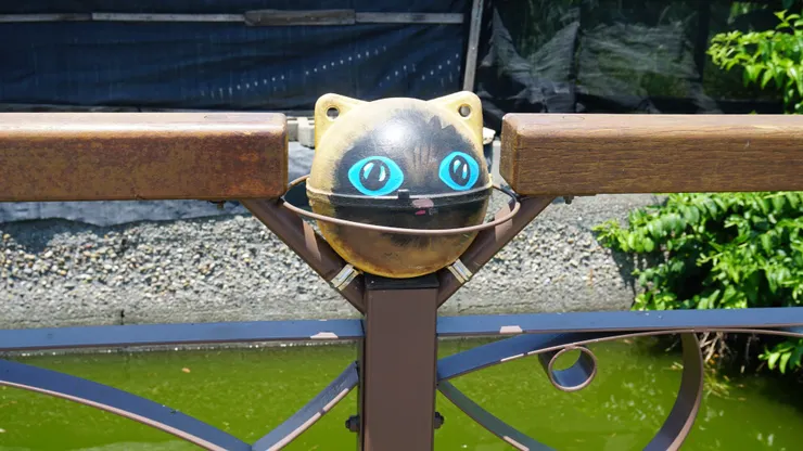 海盜村前浮球製成的大眼貓咪