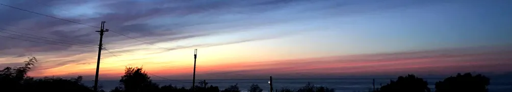 沙野愛撒野的沙龍