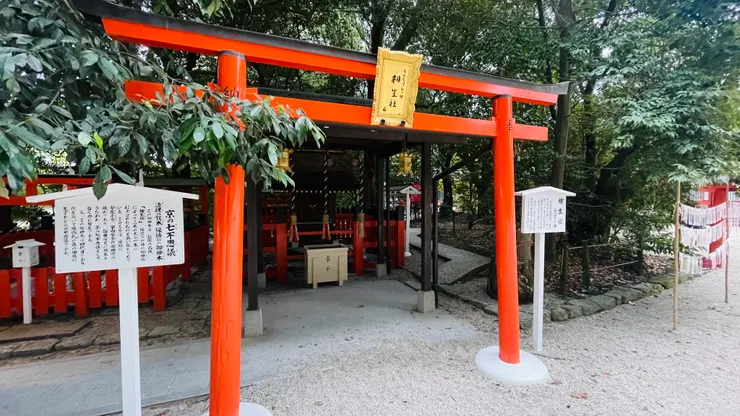 相生社是著名的結緣點，別忘了看看就在神社旁的連理樹！