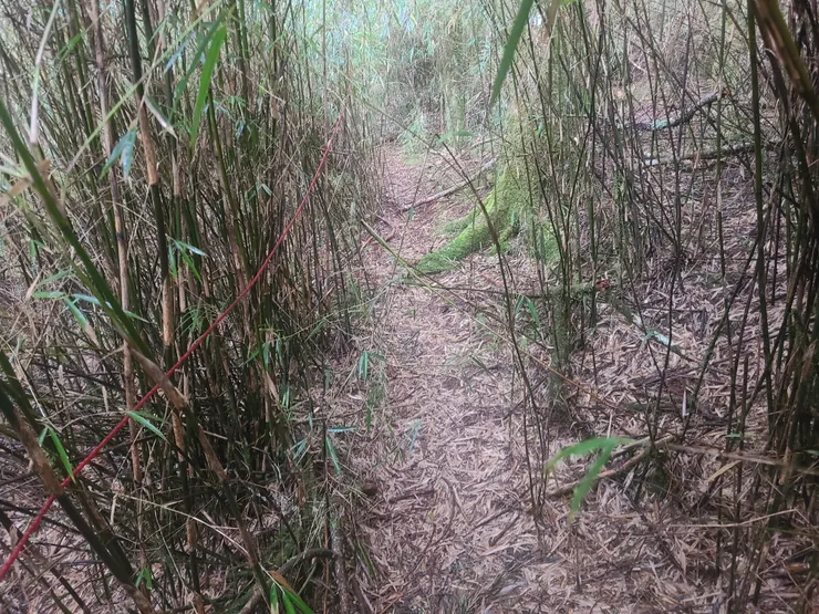 尼龍紅線封鎖指引