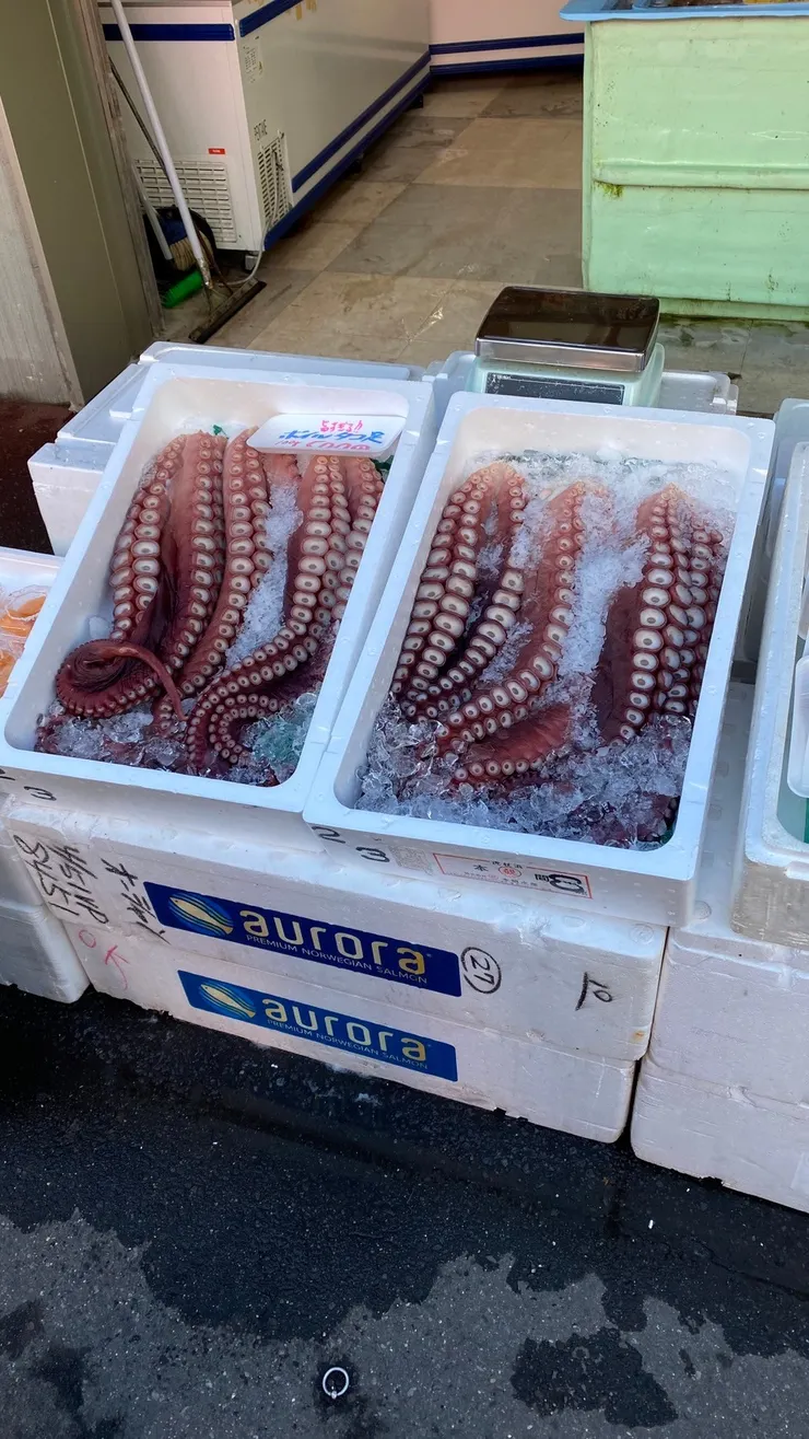 札幌朝市 - 新鮮超大章魚腳