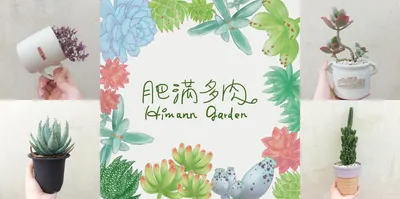 肥滿多肉花園