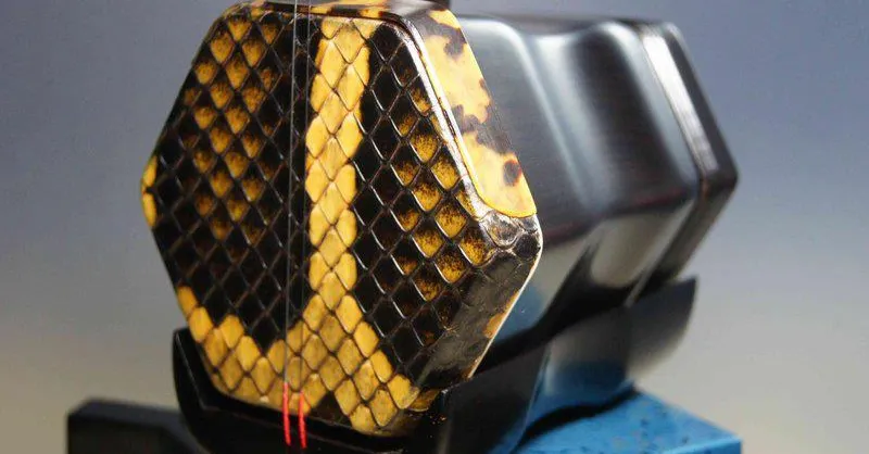 台中 二胡專賣 二胡教學 粹韻堂