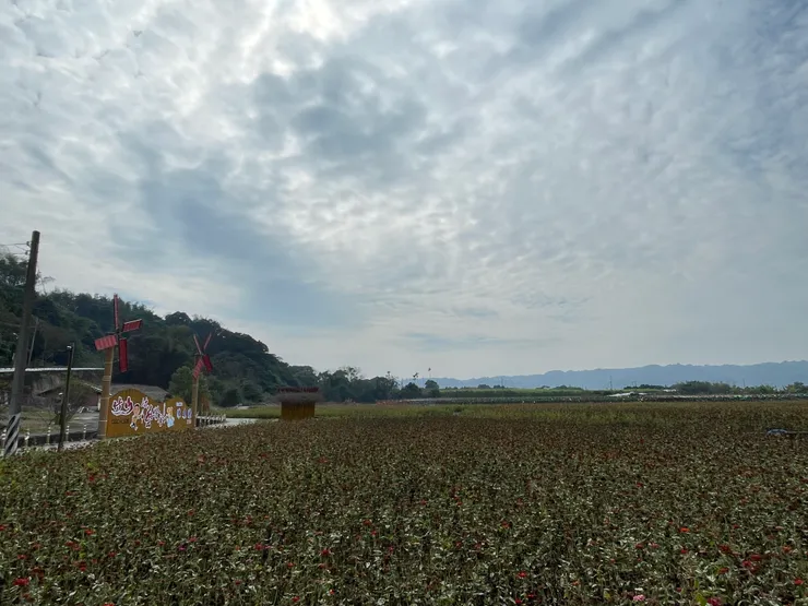 放上一張故鄉的田園風景照，期許自己成為更好的老師