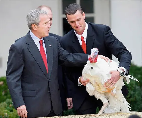 美國總統布希於2007年11月在白宮玫瑰花園赦免一隻名為『五月』(May)的火雞。(美聯社)