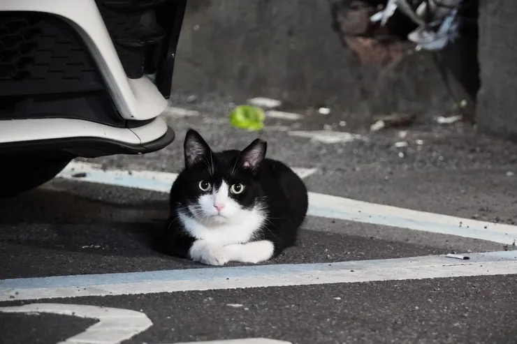 不要急啊……來坐坐吧(^._.^)