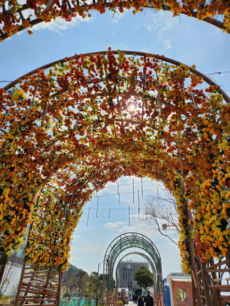 海雲台藍線公園走到底就是尾浦站