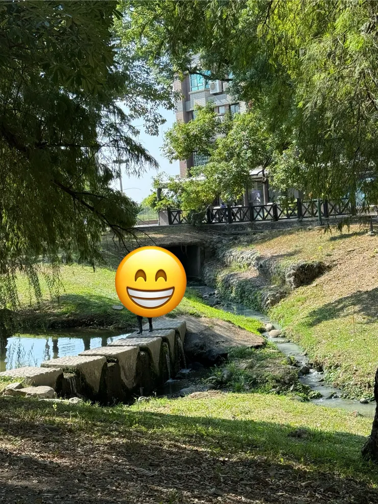 坐在長椅上看到的景緻