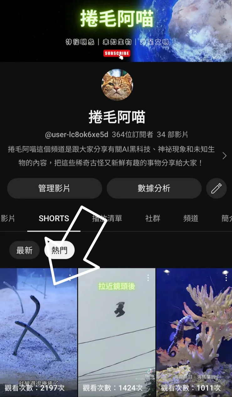 vocus｜新世代的創作平台