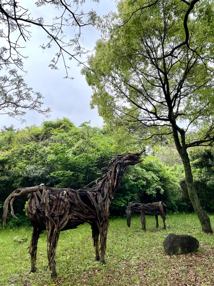 樹枝木條製的裝置藝術