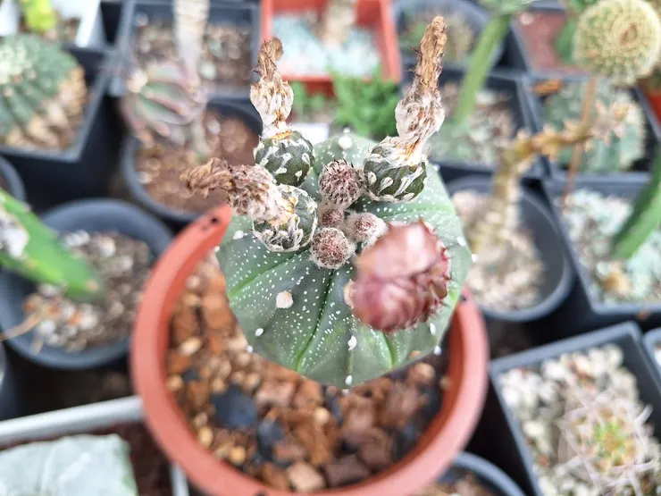 2025年3月14日拍攝