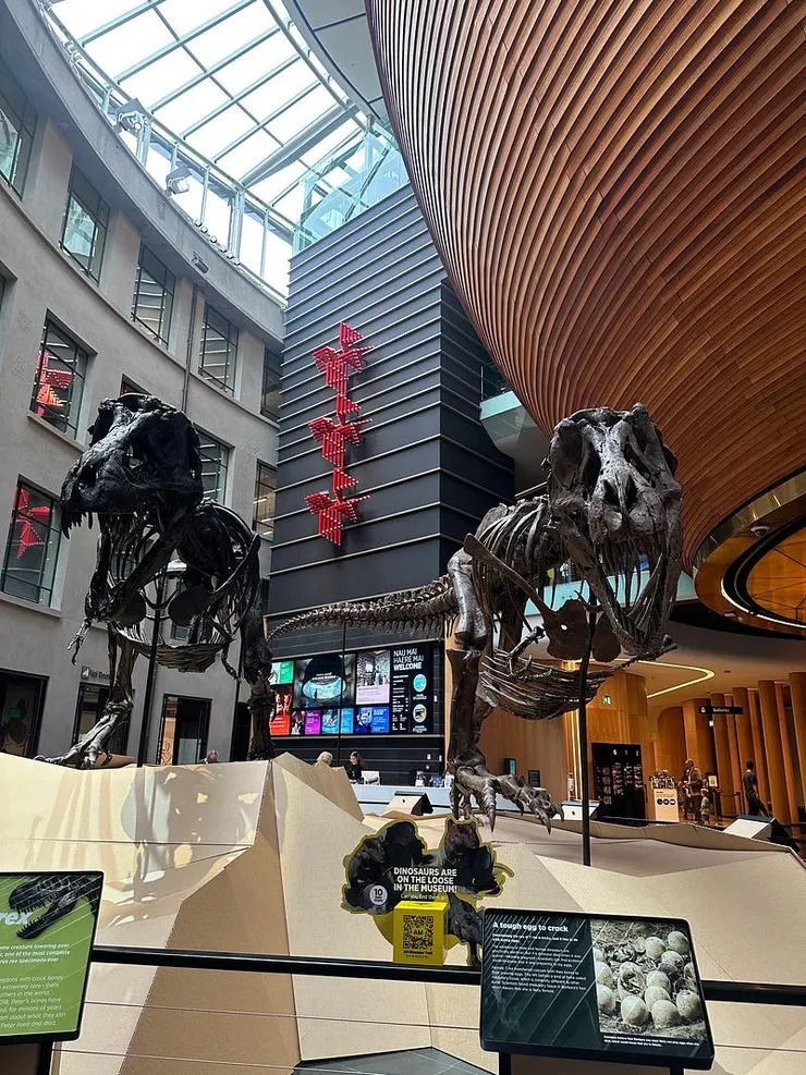 現場看比照片更震撼的恐龍化石