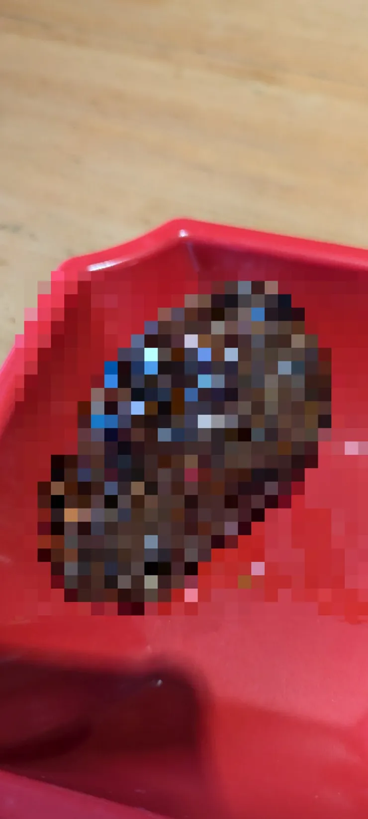 成都特產 麻辣兔頭,在成都只要兔子不會後空翻,就只能上大鍋讓廚師教下輩子怎麼翻 有點殘忍所以上馬賽克