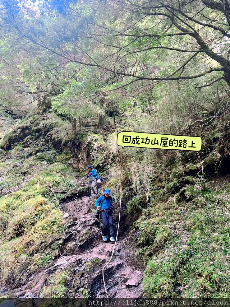 【來去奇萊主北】D2-3成功山屋住一晚/小奇萊/奇萊登山口/