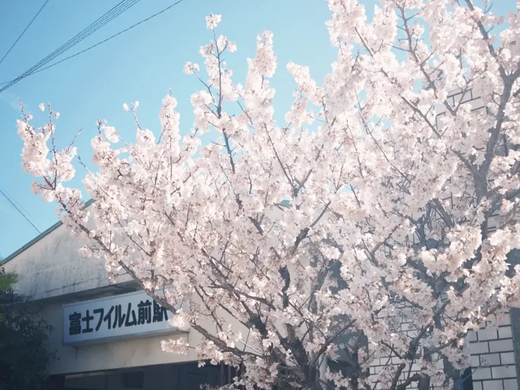 富士フイルム前駅（富士軟片前) 車站