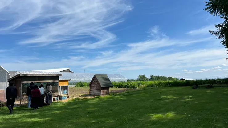 悠閒午後就在此這樣度過。