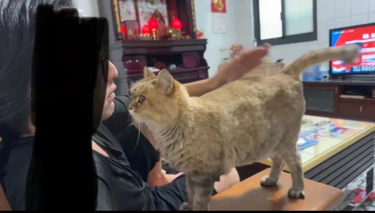 攝影於 2025/6/7，擷取當中一個畫面