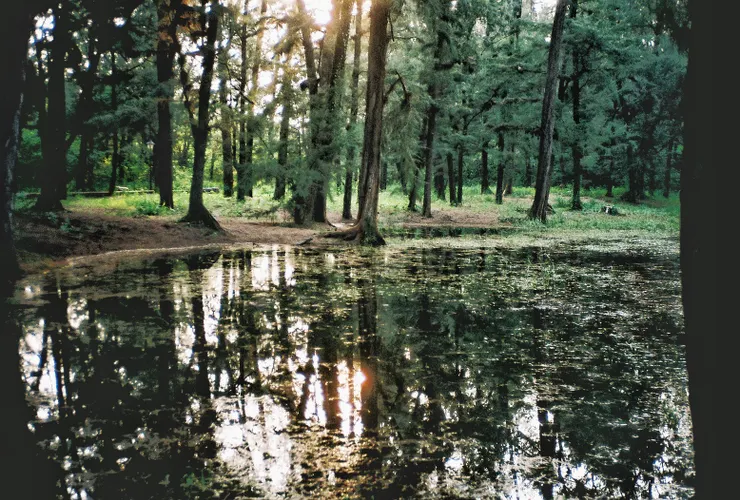 臺南安平漁光島。／影像提供：顏采葳
