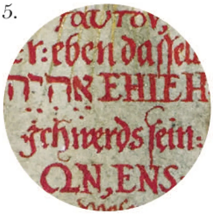 5.	神之名——牆上以希臘文、希伯來文和拉丁文書寫許多與基督教卡巴拉有關的神之名，包括Ehieh、Elohim、Adonai。