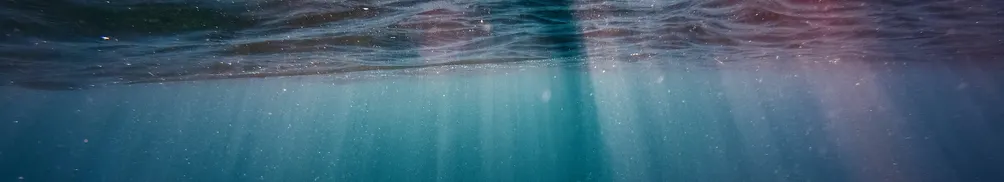 夢遊不醒的沙龍