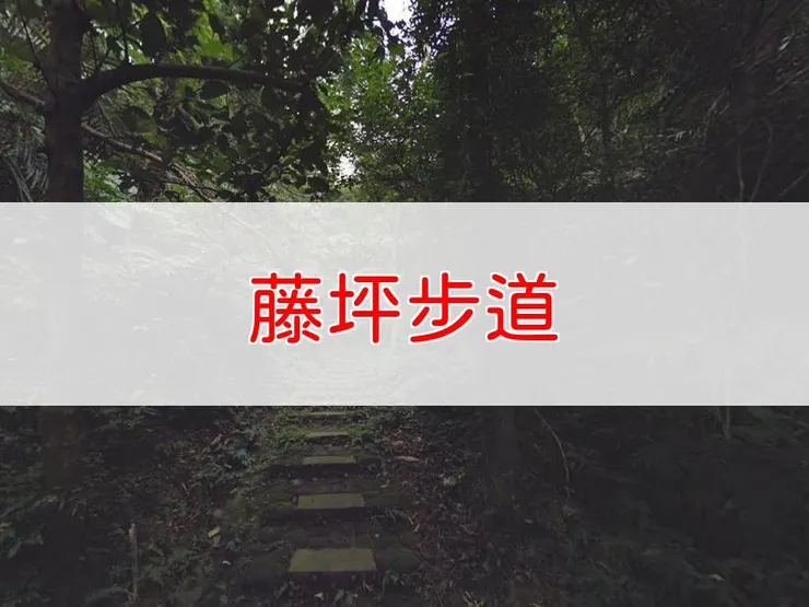 【新竹】森遊竹縣-藤坪步道 | 全長：2公里 | 難度：低