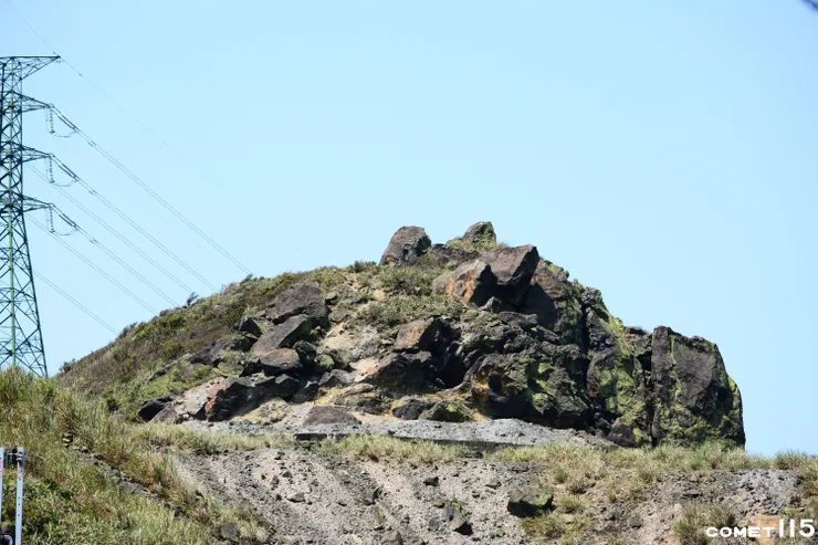 小金瓜露頭外觀猶如一隻河馬