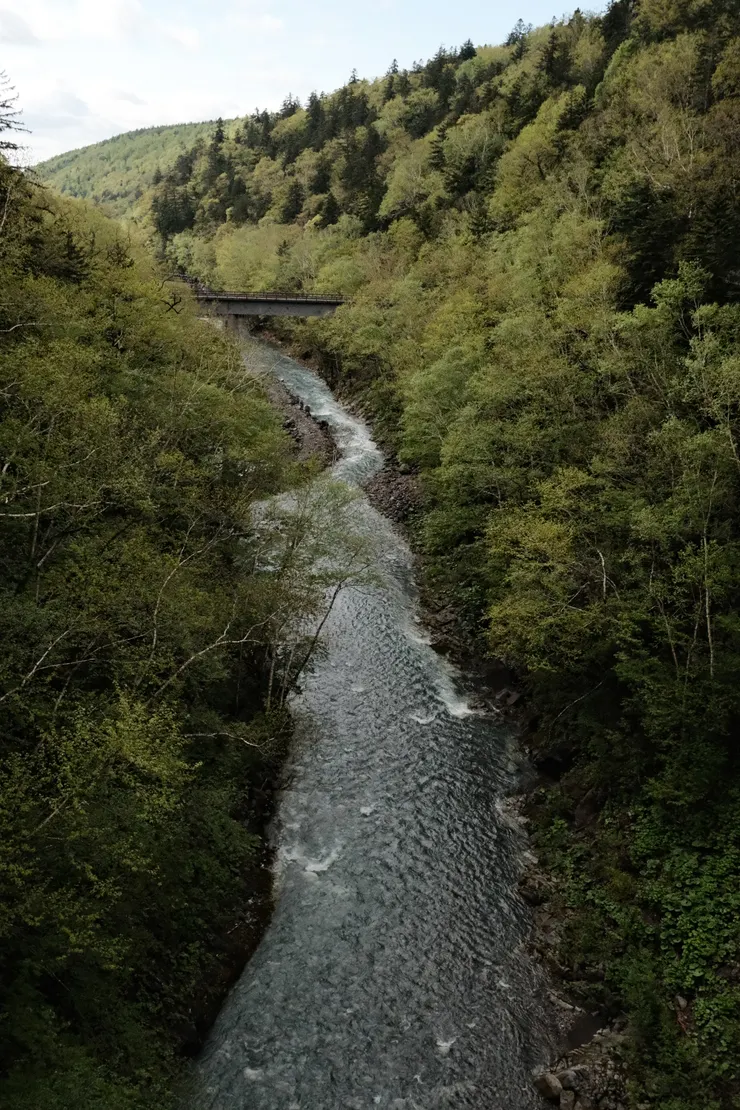 吊橋上，另一個方向看出去的景色