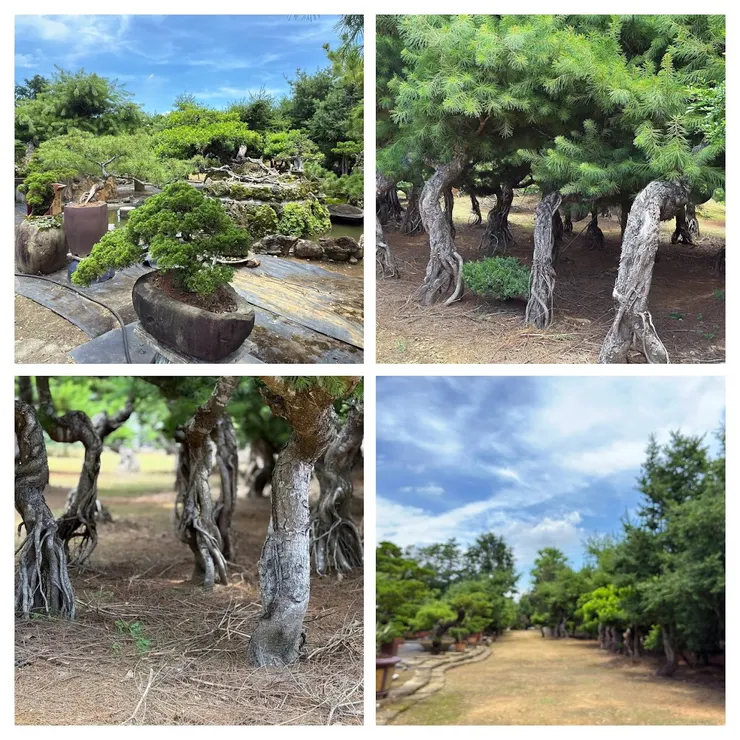 地球村稀有植物園